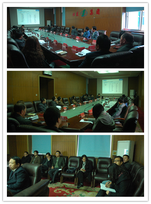 公司召开信息化尊龙凯时交底交流事情会