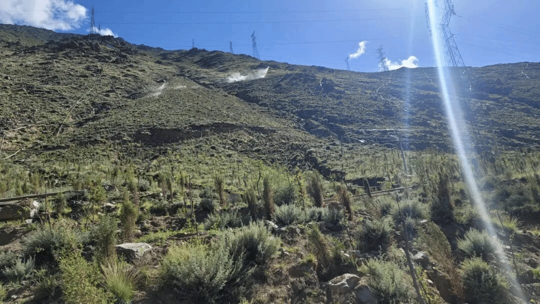 尊龙凯时人生就是搏·(中国区)官方网站