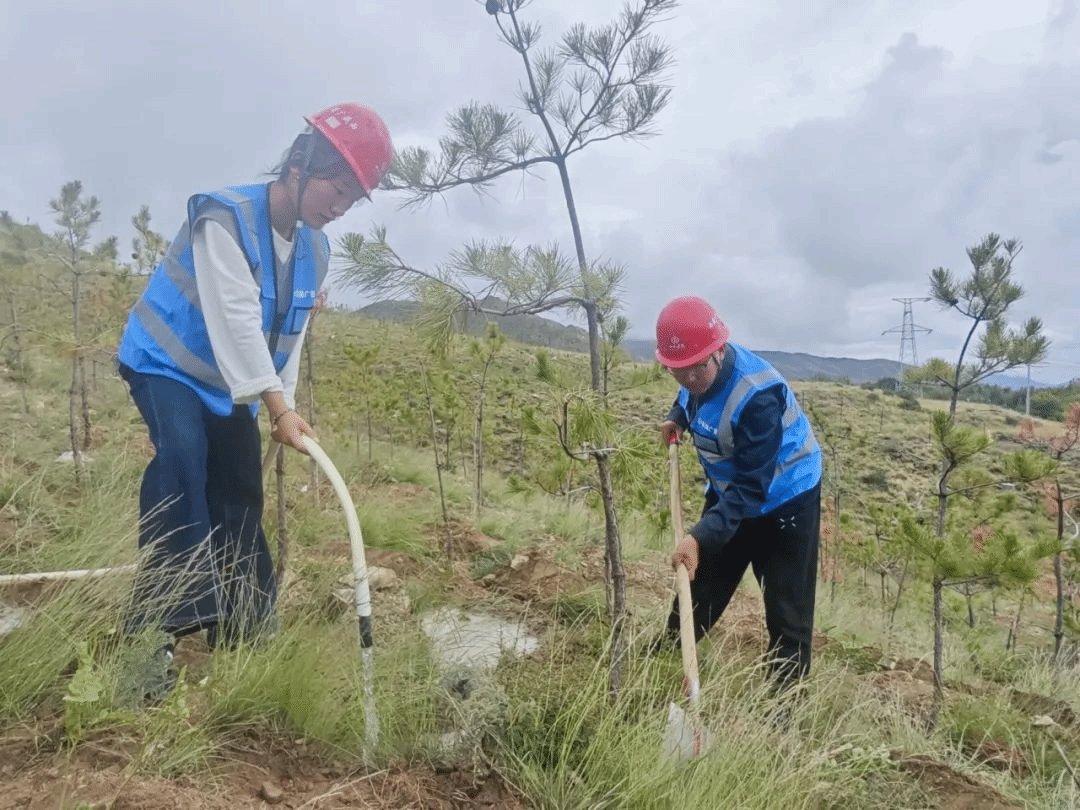 尊龙凯时人生就是搏·(中国区)官方网站