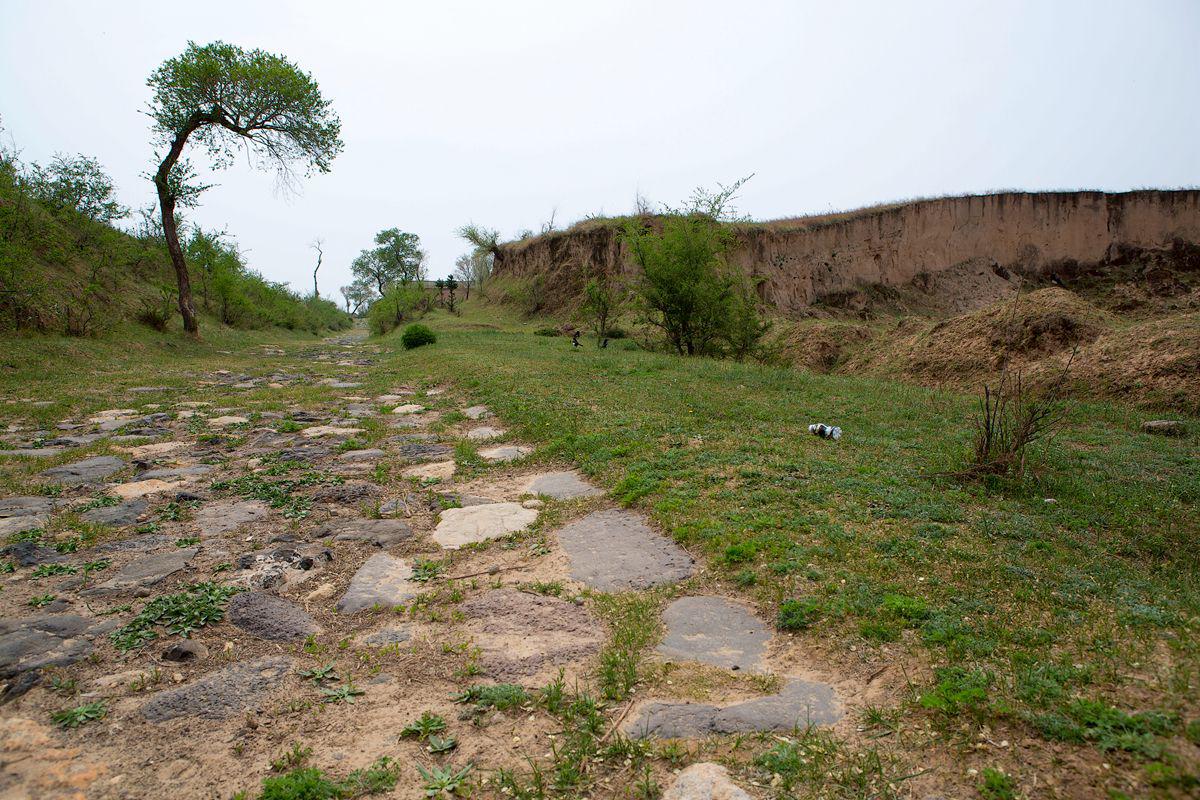 尊龙凯时人生就是搏·(中国区)官方网站