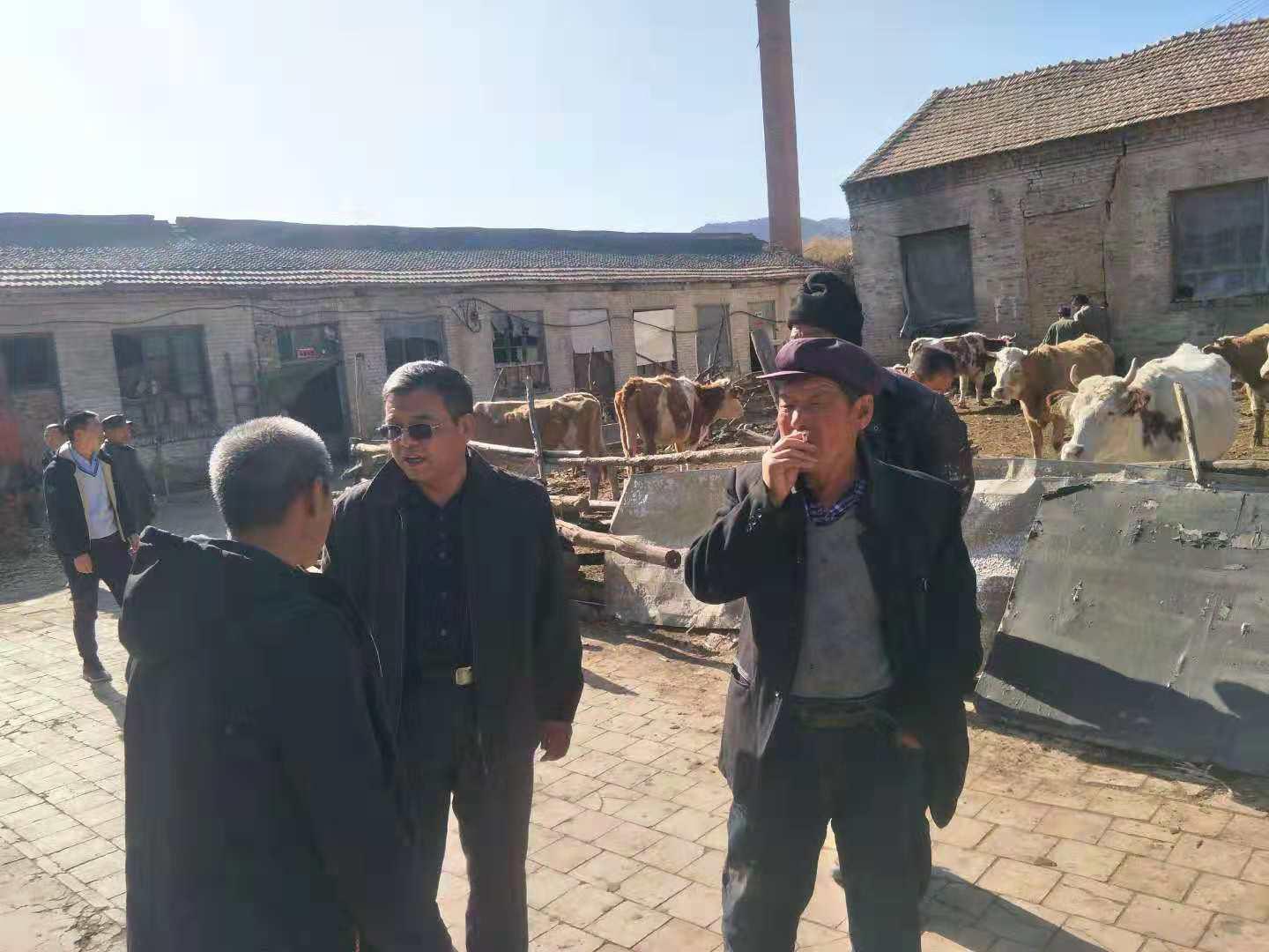 尊龙凯时人生就是搏·(中国区)官方网站