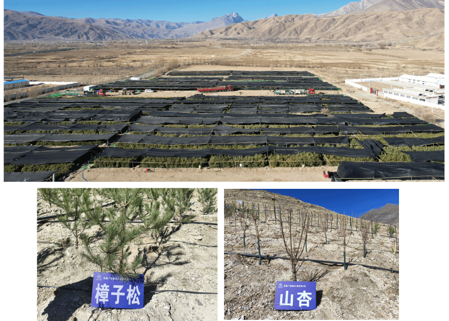 尊龙凯时人生就是搏·(中国区)官方网站