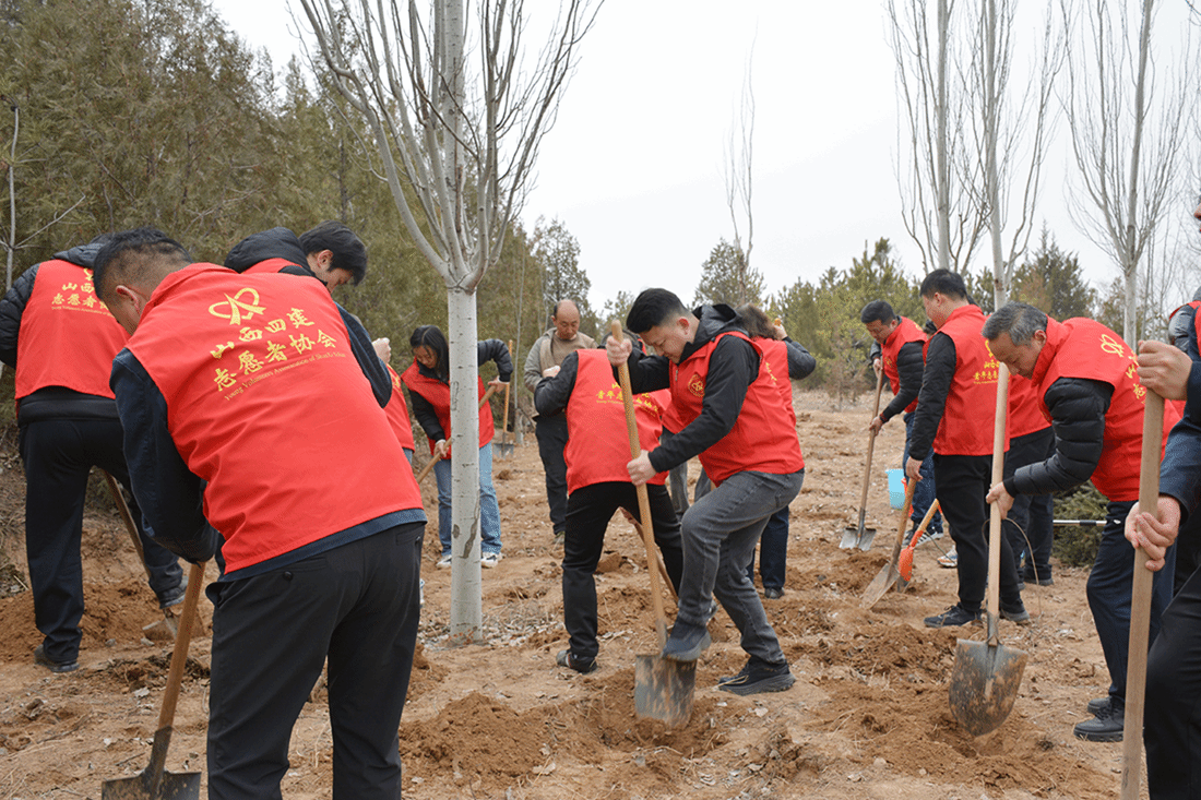 山西建投四建集团开展植树节主题运动